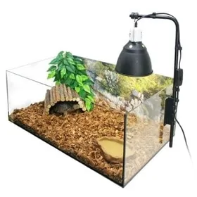 Meilleurs prix pour Kit complet Terrarium Naturel pour tortue de terre Exo Terra