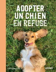 Comparer les prix de Adopter un chien en refuge