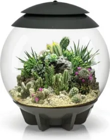 Meilleurs prix pour Terrarrium Oase biOrb AIR 30 