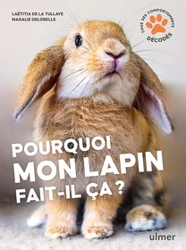 Meilleurs prix pour Pourquoi mon lapin fait-il ça ? - Editions Ulmer