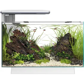 Comparer les prix de Aquarium SuperFish Quadro 40 - 2 modèles en 2 couleurs