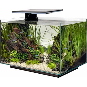 Meilleurs prix pour Aquarium SuperFish Quadro 70 - 2 couleurs