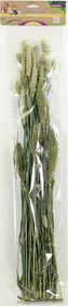 Comparer les prix de Pet Bouquet herbes à grignoter