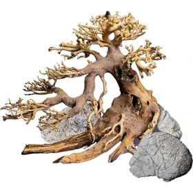 Meilleurs prix pour Dennerle Decor Box Bonsai décoration pour aquariums