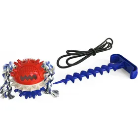 Comparer les prix de Balle avec une corde élastique et piquet pour fixer sol pour chien