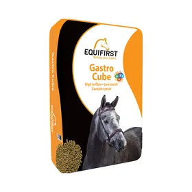 Comparer les prix de Equifirst Granulés Gastro Cube pour les Chevaux