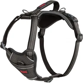 Meilleurs prix pour HALTI Harnais Anatomy pour chien - Gris