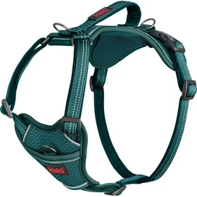 Comparer les prix de HALTI Harnais Anatomy pour chien - Bleu sarcelle