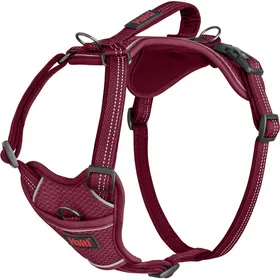 Meilleurs prix pour HALTI Harnais Anatomy pour chien - Magenta