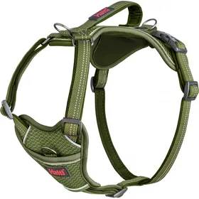 Comparer les prix de HALTI Harnais Anatomy pour chien - Vert