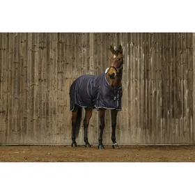 Meilleurs prix pour EQUITHEME Chemise vague marine
