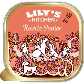 Meilleurs prix pour LILY'S KITCHEN Recette Junior Avec du Poulet et un filet d'huile de Saumon 150g - Lot de 10x 150g
