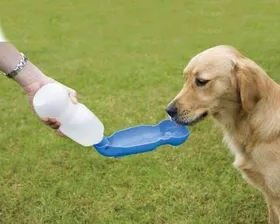 Meilleurs prix pour Gourde pour chien Aquaboy