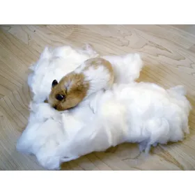 Comparer les prix de Coton pour hamster 30g