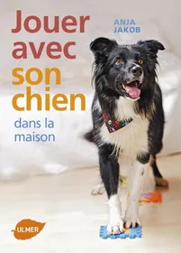 Comparer les prix de Jouer avec son chien dans la maison