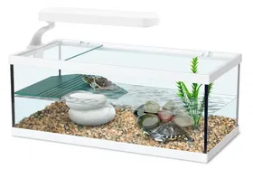 Comparer les prix de Aquarium blanc sans filtre Aquatlantis Tortum