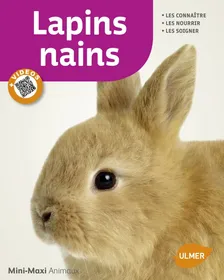 Comparer les prix de Lapins nains Mini Maxi vidéos