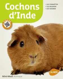 Meilleurs prix pour Cochons d'Inde
