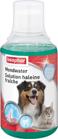 Meilleurs prix pour Solution haleine fraîche Buccafresh