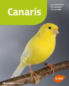 Meilleurs prix pour Canaris : les connaitre, les nourrir, les soigner