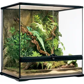 Meilleurs prix pour Terrarium Exo Terra Natural Jungle - 60x45x60 cm
