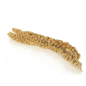 Meilleurs prix pour IAKO Millet d'anjou jaune pour oiseaux - 1kg