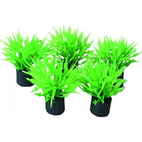 Comparer les prix de SuperFish Easy Plants Nano Plugs 2 cm