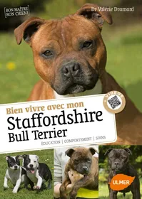 Meilleurs prix pour Bien vivre avec mon Staffordshire Bull Terrier
