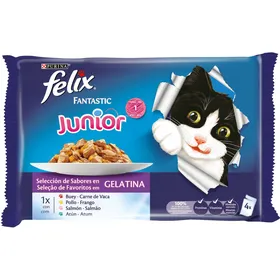 Meilleurs prix pour FELIX Fantastic pour chaton