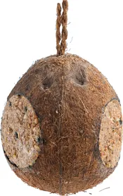 Meilleurs prix pour Enjoy Nature Noix De coco 
