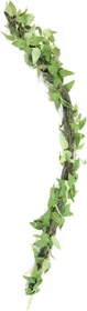 Comparer les prix de Liane avec feuilles 61 cm pour terrarium