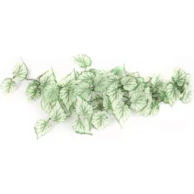 Meilleurs prix pour Plante verte / blanche pour terrarium