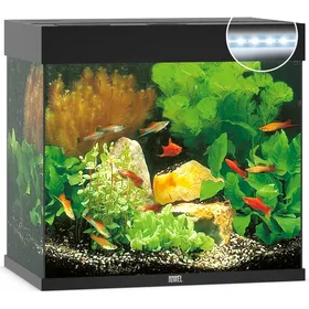Comparer les prix de Aquarium JUWEL Lido 120 LED 