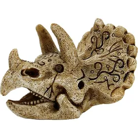 Comparer les prix de Crane Triceratops 8 cm Superfish Skull Décorations