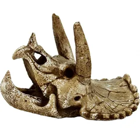 Meilleurs prix pour Crane Triceratops Superfish Skull Décorations