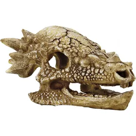 Comparer les prix de Crane T-Rex 15 cm Superfish Skull Décorations