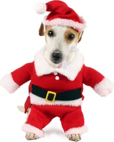 Comparer les prix de Déguisement Père Noël Zolia Festive pour chien - XS - 15x21x30cm