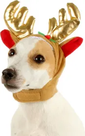 Comparer les prix de Déguisement pour chien Chapeau de Noël 