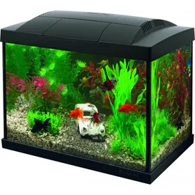 Meilleurs prix pour Superfish START Kit 20 Goldfish Noir ou Blanc