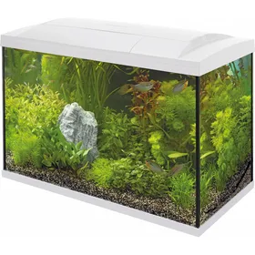 Meilleurs prix pour Superfish START Kit 100 Tropical Kit Noir ou Blanc