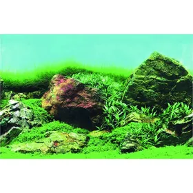 Meilleurs prix pour SuperFish Deco Poster C - 6 tailles Poster de fond pour aquarium