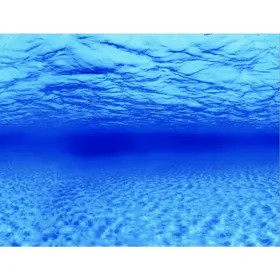 Comparer les prix de SuperFish Deco Poster F - 6 tailles Poster de fond pour aquarium