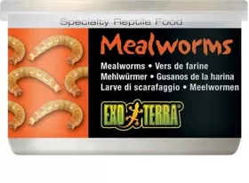 Meilleurs prix pour Exo Terra Mealworms vers de farine pour tous types de reptiles
