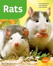 Comparer les prix de - Tout ce qu'il faut savoir pour bien s'occuper de son rat