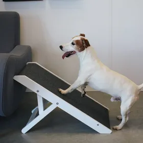 Meilleurs prix pour Rampe pour chien en bois Elliot Zolia Orthopedic - idéal en intérieur 
