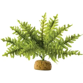 Comparer les prix de Fougère de Boston Exo-Terra pour terrarium