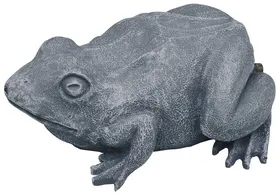 Comparer les prix de Oase Sujet cracheur Gargouille Grenouille