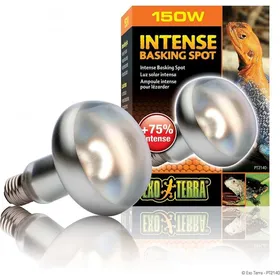 Comparer les prix de Lampe chauffante Intense Basking Spot Exo-terra