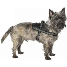 Meilleurs prix pour Harnais Easy Safe BOBBY Noir - Plusieurs tailles disponibles 