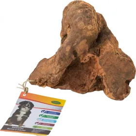 Meilleurs prix pour BUBIMEX Racines à mâcher - Lot de 2x M - 150 à 300g